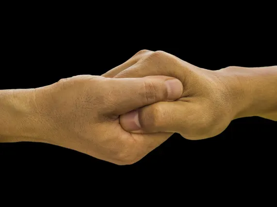 カジノ ステーク 7 サポート